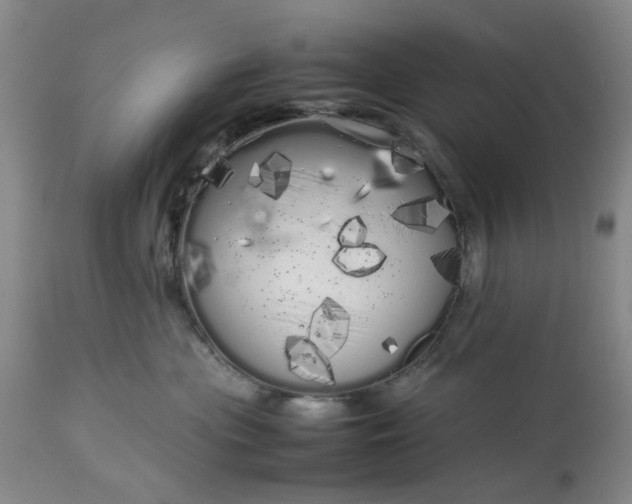 X0000113620477200910021833