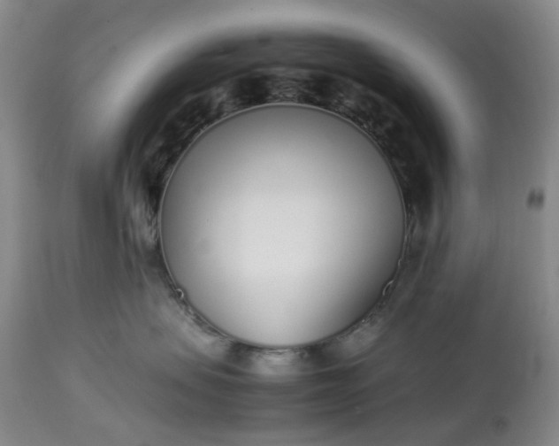 X0000113620479200910021833