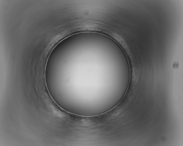 X0000113620481200910021832