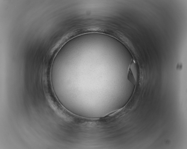 X0000113620482200910021832