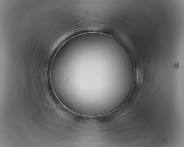 X0000113620483200910021832