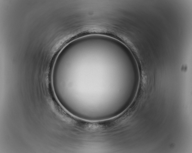 X0000113620487200910021832