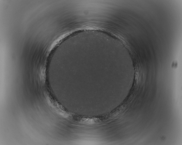 X0000113620488200910021832