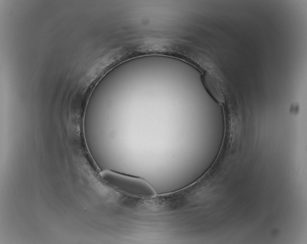 X0000113620489200910021832