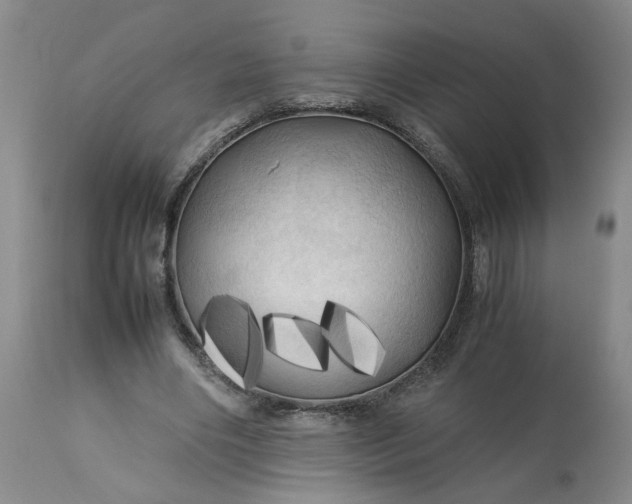 X0000113620490200910021832