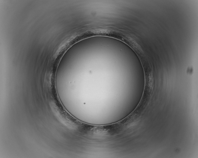 X0000113620491200910021832