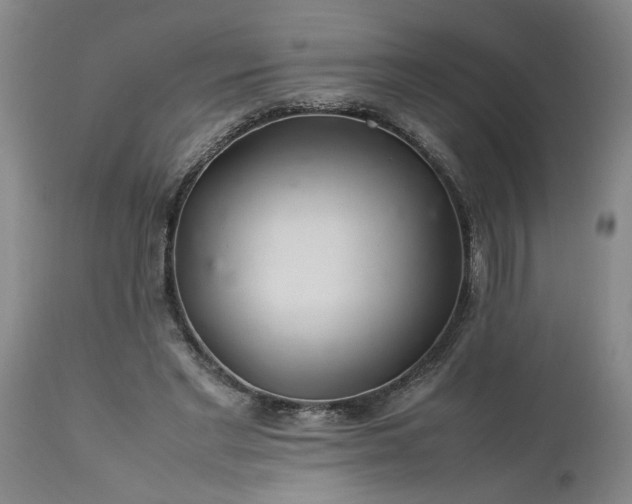 X0000113620493200910021832