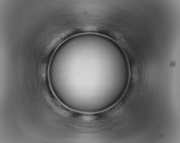 X0000113620495200910021832