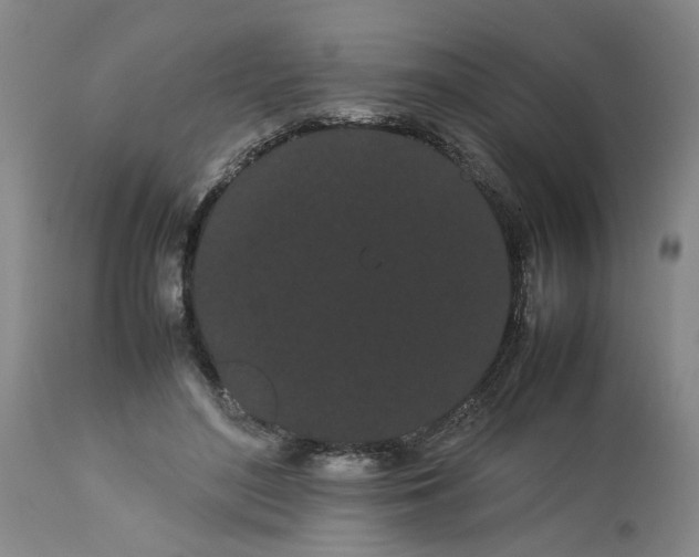 X0000113620500200910021832