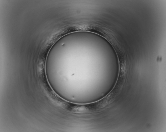 X0000113620503200910021832