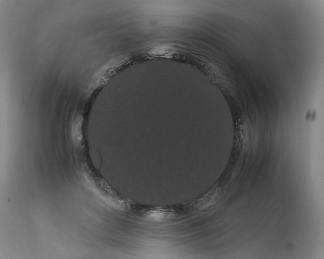 X0000113620504200910021832