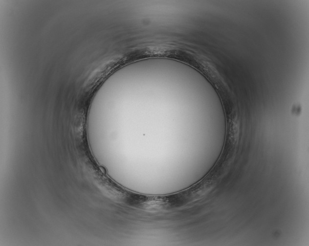 X0000113620505200910021832