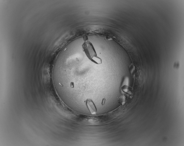 X0000113620506200910021832