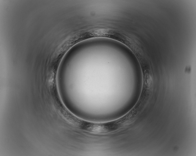 X0000113620507200910021832