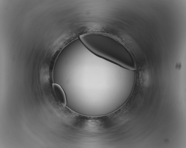 X0000113620508200910021832