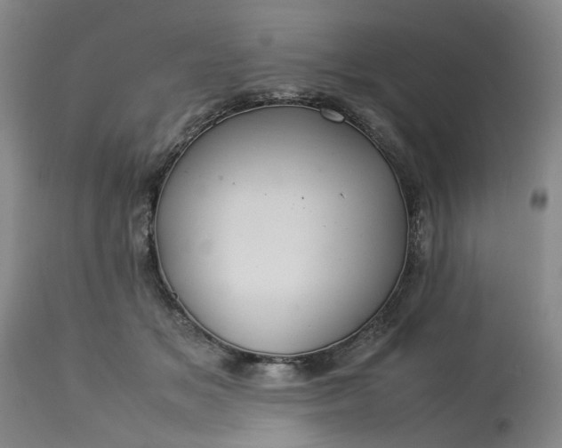 X0000113620509200910021832