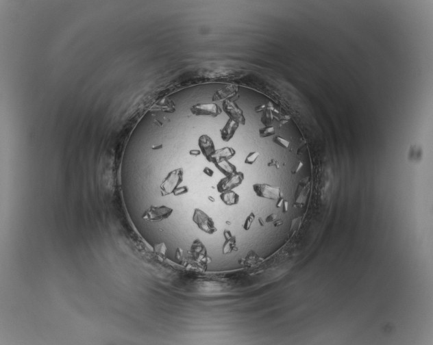 X0000113620510200910021832