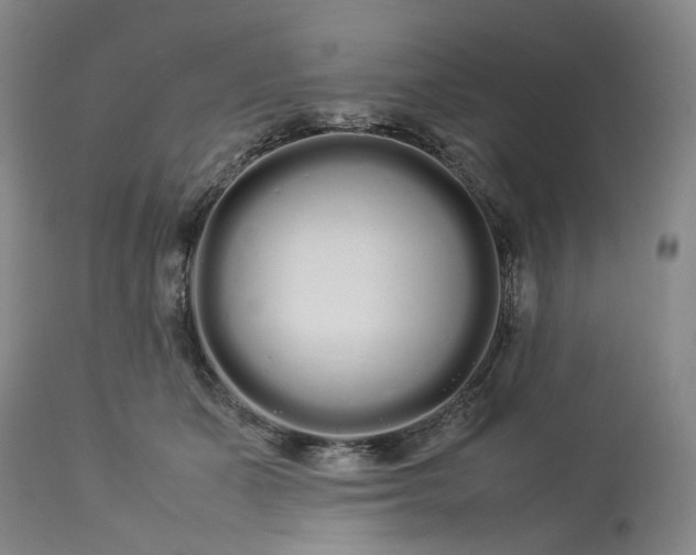 X0000113620511200910021832