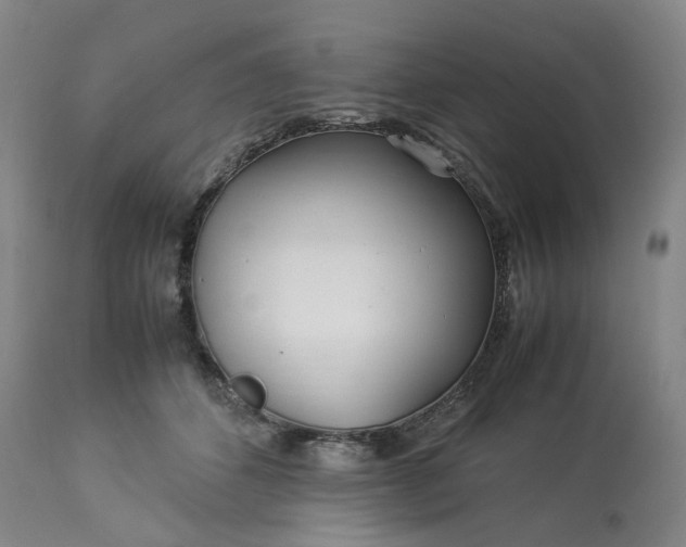 X0000113620512200910021832