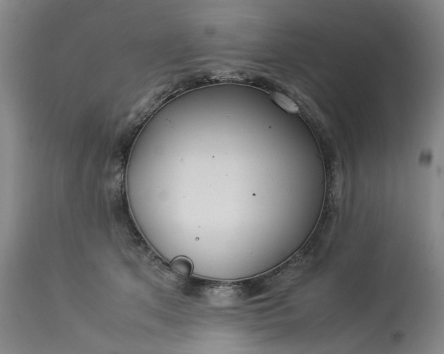 X0000113620513200910021832