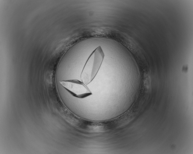 X0000113620514200910021832