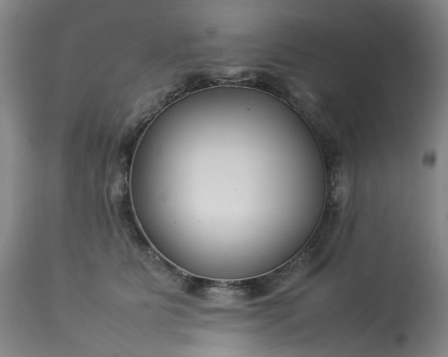 X0000113620515200910021832