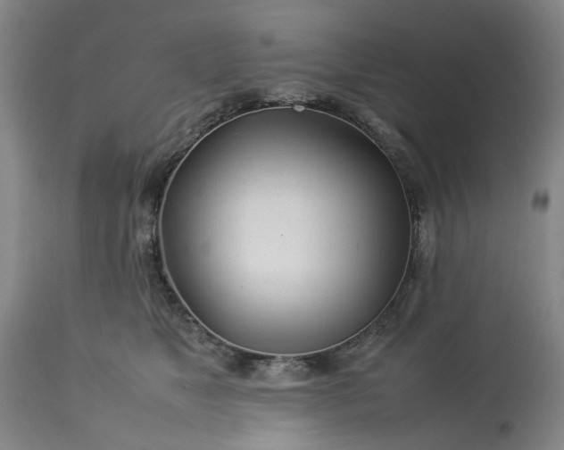 X0000113620517200910021832