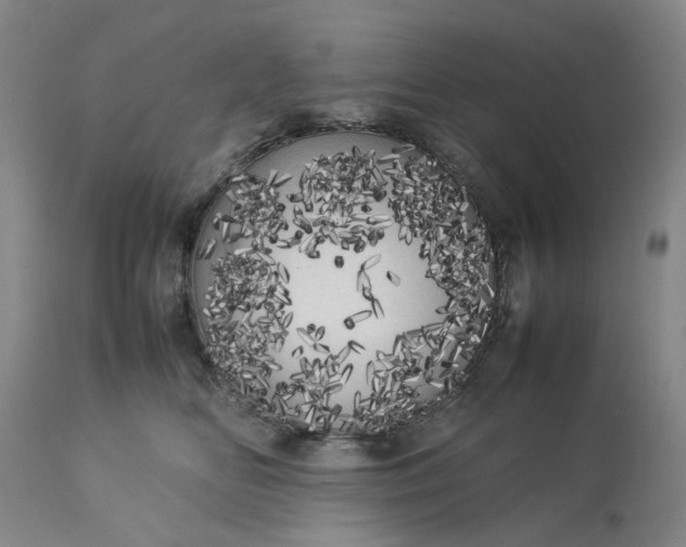 X0000113620518200910021832