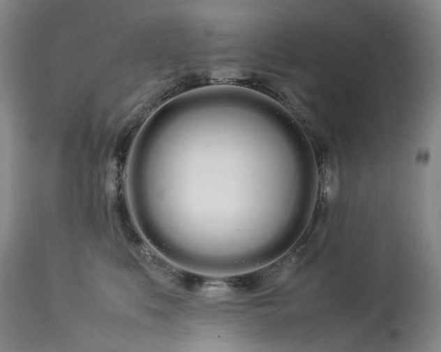 X0000113620519200910021832