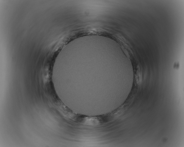 X0000113620520200910021832