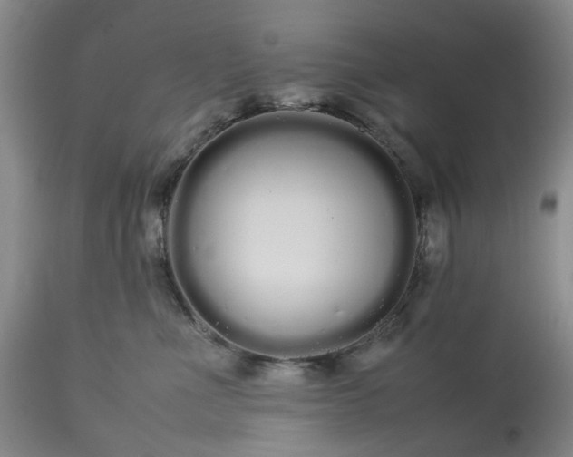 X0000113620523200910021831