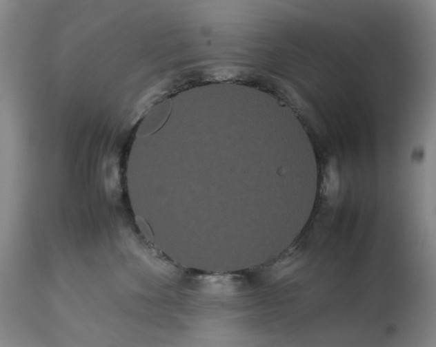 X0000113620524200910021831