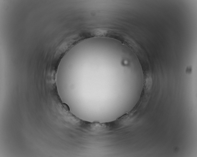 X0000113620525200910021831