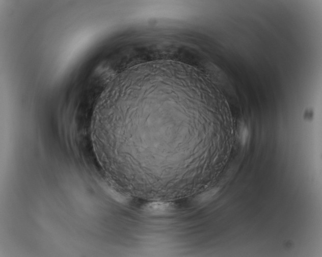 X0000113620526200910021831