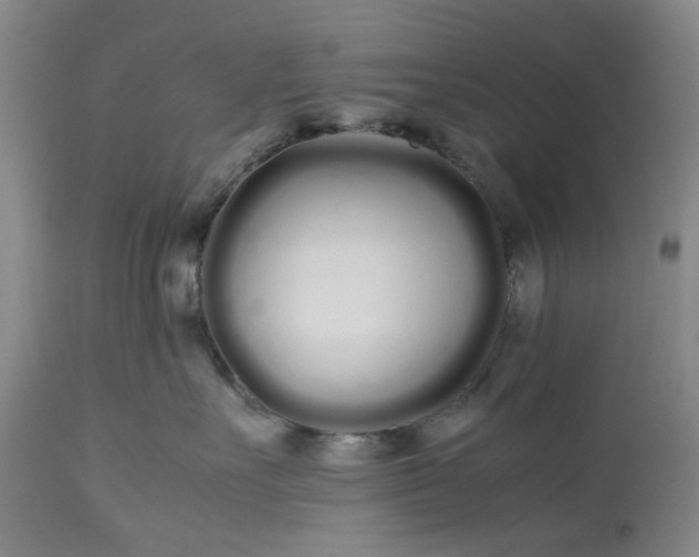 X0000113620527200910021831