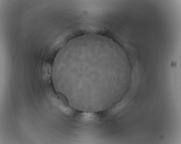 X0000113620528200910021831