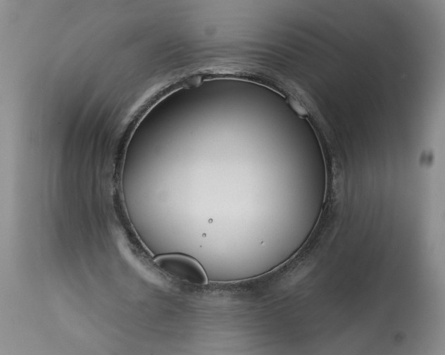 X0000113620530200910021830