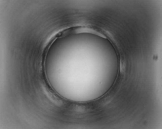 X0000113620531200910021830