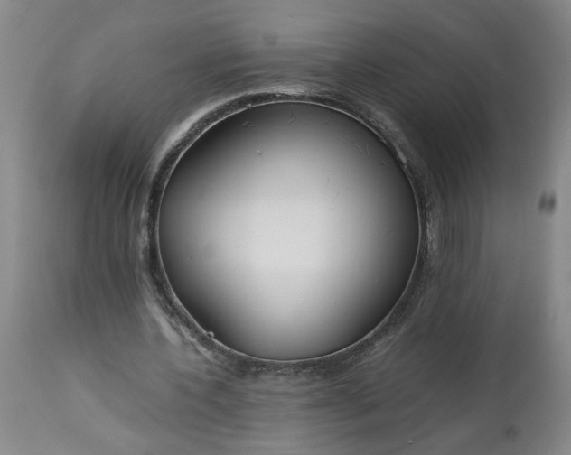 X0000113620532200910021831