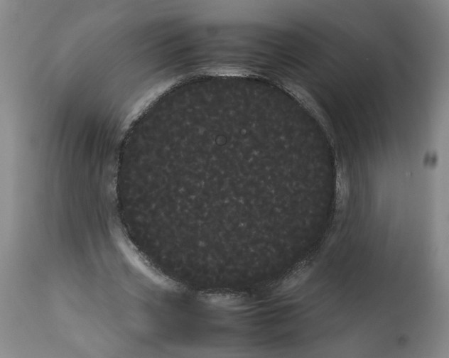 X0000113620533200910021831