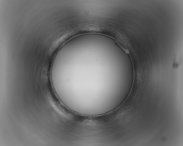 X0000113620538200910021831