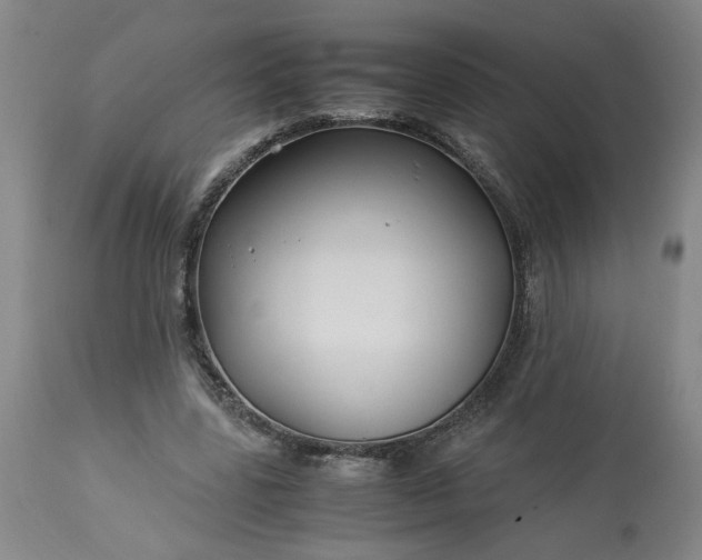 X0000113620539200910021831