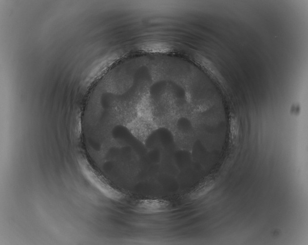 X0000113620541200910021831