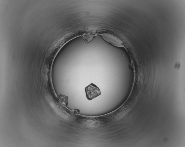 X0000113620542200910021831