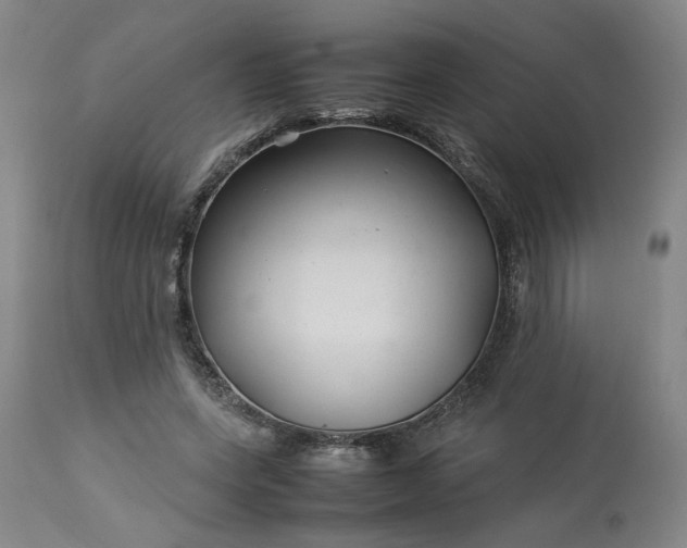 X0000113620543200910021831