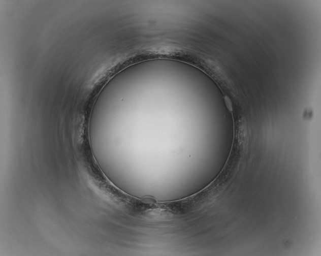 X0000113620544200910021831