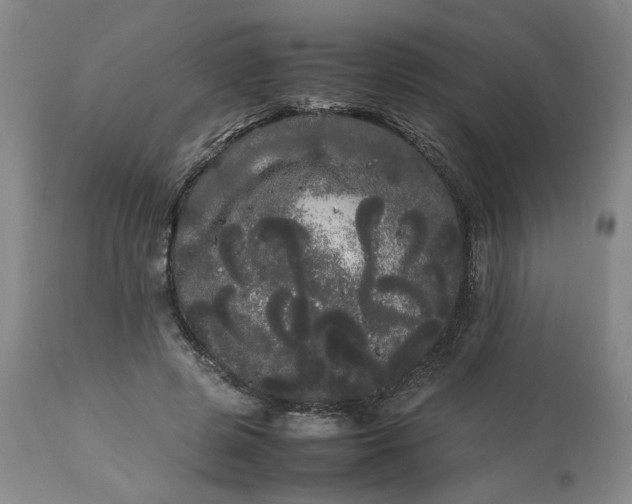 X0000113620545200910021831