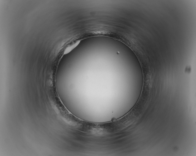 X0000113620547200910021831