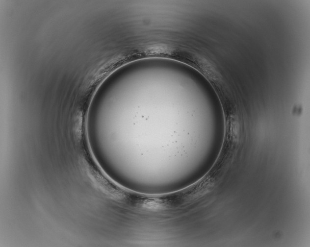 X0000113620550200910021831