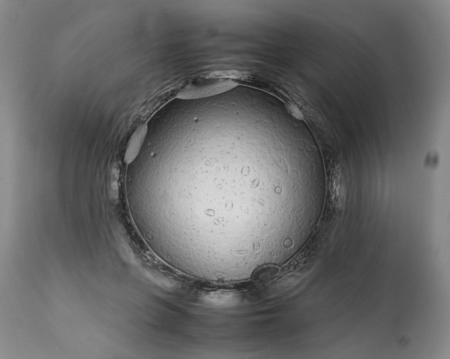 X0000113620551200910021831